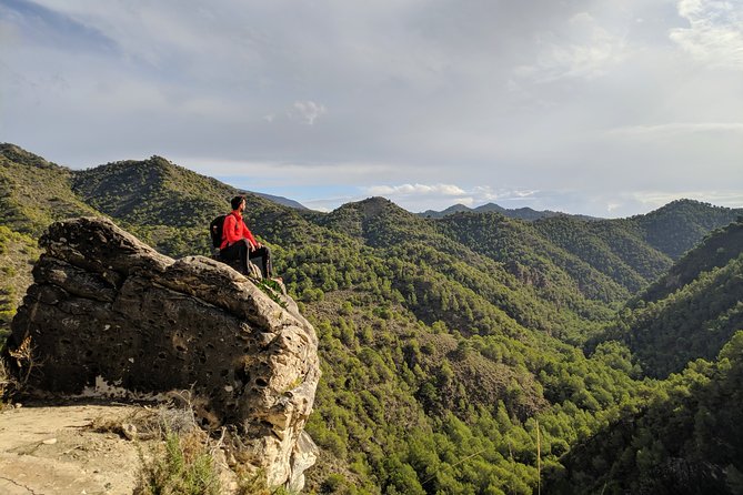 Frigiliana Small-Group Hike and Wine Tasting Tour From Malaga - Overall Rating and Breakdown of Reviews