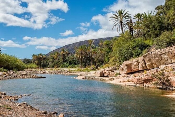 From Agadir or Taghazout: Paradise Valley & Atlas Mountains Tour - Mobile Ticketing and Instant Confirmation