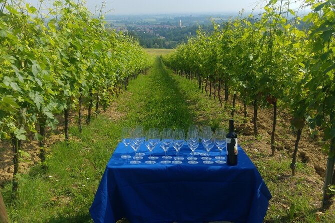 From Bologna: Wine Tasting and Vineyard Tour With the Winemaker - Confirmation and Accessibility Information