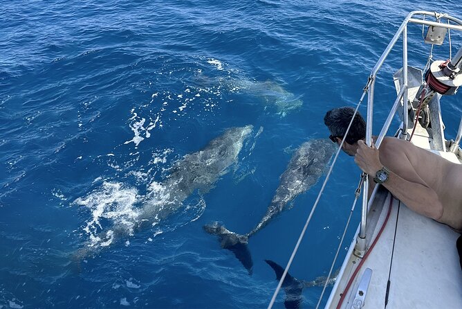 From Catania: Sailboat Tour to Aci Trezza - 4 Hours - Directions