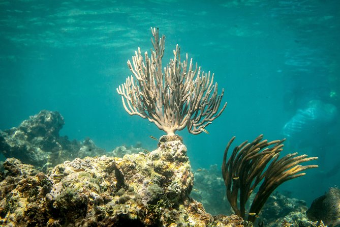 From Fajardo: Icacos Deserted Island Catamaran & Picnic Cruise - What To Expect