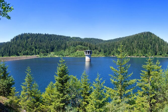 From Frankfurt - Romantic Black Forest & Brewery, Private Tour - Pricing and Group Size Options