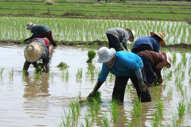 From Kanchanaburi: Thai Village Tour Half Day by Song Taew (Small Truck) - Village Activities