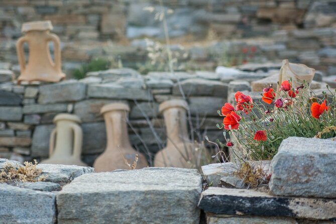From Naxos or Paros: Delos and Mykonos Visit With Expert Guide (Full Day Cruise) - Traveler Photos and Reviews