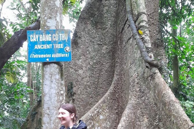From Ninh Binh Cuc Phuong National Park One Day Trekking Tour - Additional Information and Tour Details