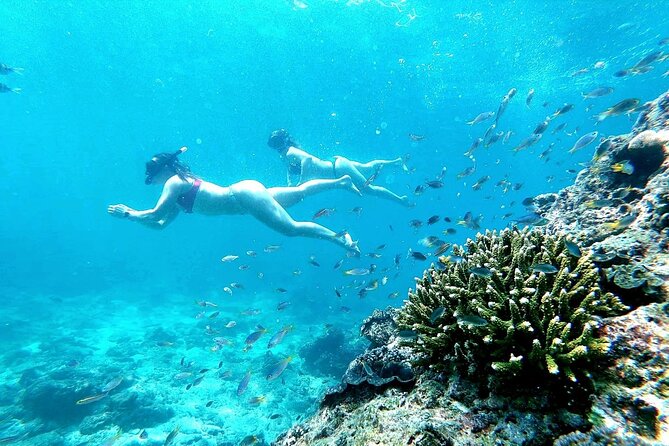 From Phuket: Phi Phi, Maya and Bamboo Islands Full Day Visit - Common Questions