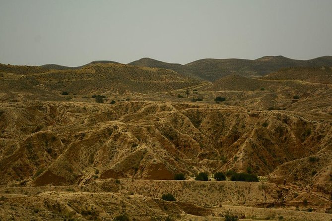 From Sousse 3 Day Desert Tour With a Tent Night - Local Cuisine Highlights