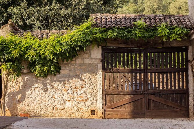 From Verona: Prosecco & Classic Method Sparkling Wine Tour, With Light Lunch - Pricing and Additional Information