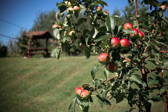Fruit Alcohol Tasting Velvet Orchards Audio Tour - Cancellation Policy
