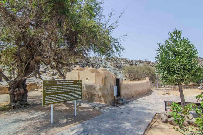 Fujairah Private Day Trip From Dubai With Lunch - Tour Organization and Improvements