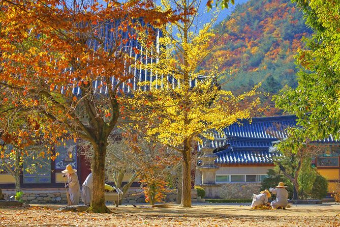 Full-Day Autumn Tour From Busan to Unmunsa Bhikkhuni Temple - Common Questions