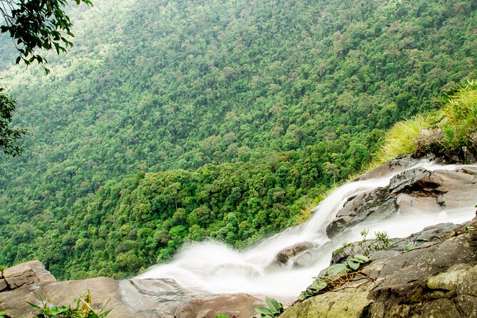 FULL-DAY BACH MA NATIONAL PARK TREKKING From HUE CITY - How to Book and Secure Your Spot