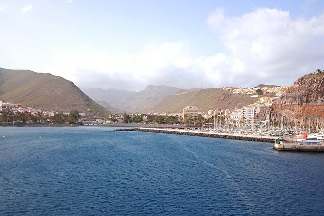 Full-Day Bus Tour to La Gomera Island With Professional Guide - Lunch Included - Customer Feedback