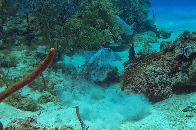 Full-Day Catalina Island Snorkeling Tour From La Romana - What to Expect on the Boat Ride