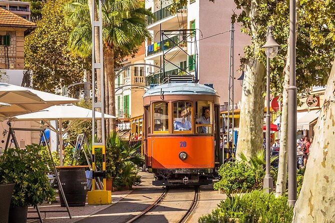 Full Day Coastal and Mountain Tour by Cabrio Bus - Insider Tips and Recommendations