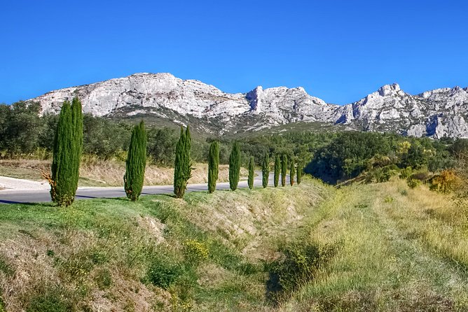 Full Day Culture and Shopping in Mc Arthur Glen Provence From Avignon - The Sum Up
