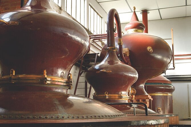 Full Day Discovering Cognac From Bordeaux - Inclusions and Exclusions