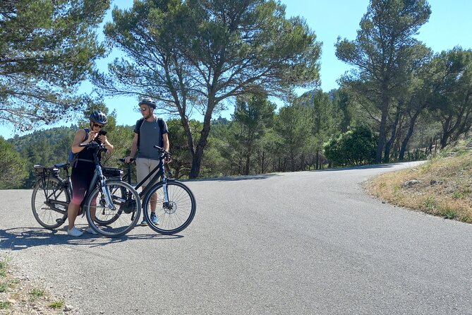 Full Day Ebike Tour in the Luberon Region From Avignon - Tour Itinerary