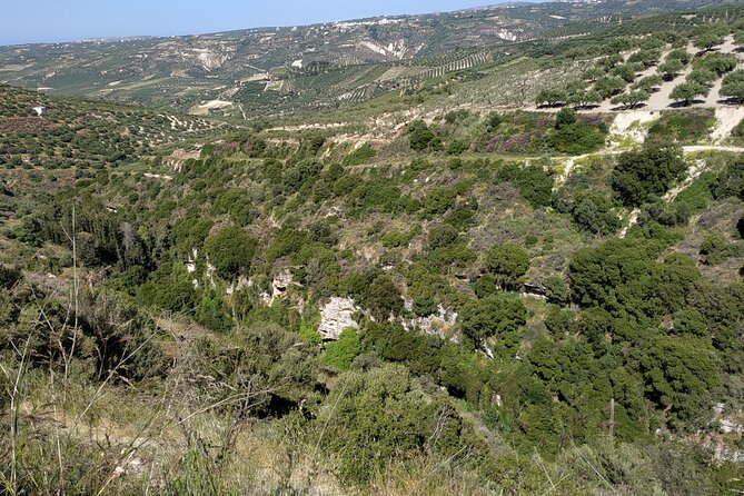 Full Day -Ecobike Discover the Real Crete & Olive Oil Factory - Contact Information