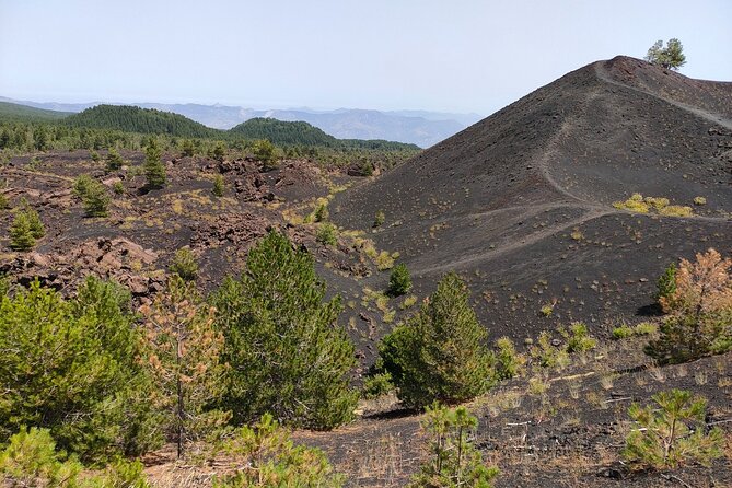 Full Day Etna Immersive Trek & Taste From Taormina and Naxos - Important Reminders