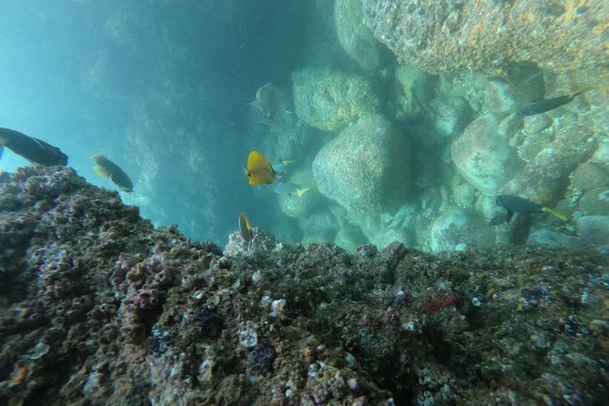 Full-Day Experience in Banderas Bay - Directions