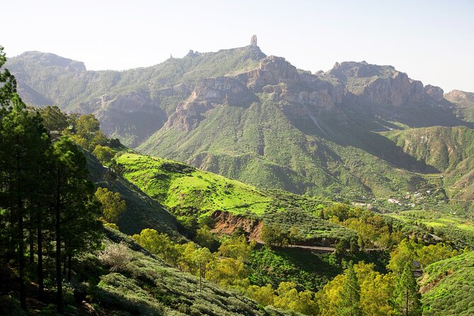 Full-Day Gran Canaria Tour With Teror, Tejeda and Lunch in Fataga - Common Questions