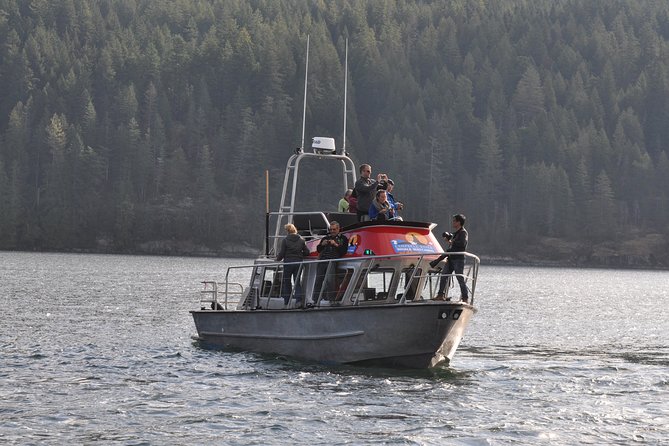 Full Day Grizzly Bear Tour to Toba Inlet - Common Questions