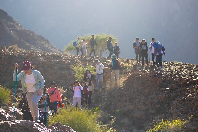 Full-Day Guided Hatta Sightseeing Tour With Kayaking Experience - Enjoy Kayaking on Hatta Dam With a Stunning View