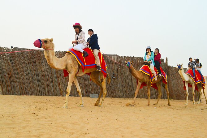 Full-Day Guided Red Dunes Desert Tour in Dubai With Camel Ride - Common Questions