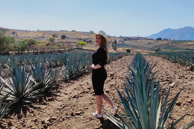 Full Day in Tequila With Tasting and Party in Cantaritos - Party in Cantaritos