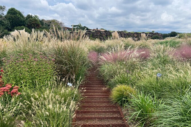 Full-Day Jeju Island SOUTH Tour (Entrance Fee Included) - Common Questions