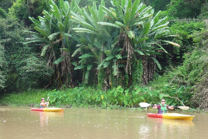 Full-Day Leisure River Kayaking Into Mae Taeng Forest Reserve From Chiang Mai - Traveler Photos