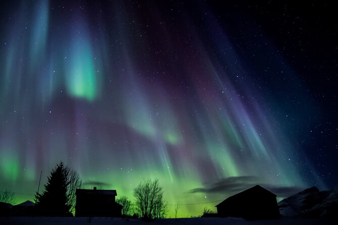 Full Day Magic of the Arctic Lights in Tromso - Pricing and Booking Information