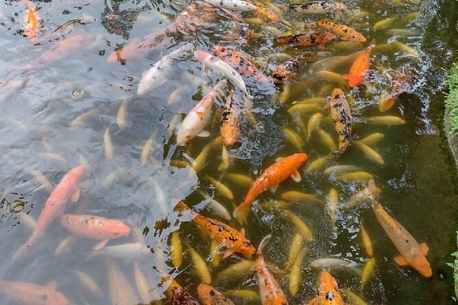 Full Day Oahu Tour With Byodo Temple & Waimea Waterfalls - Weather and Minimum Travelers
