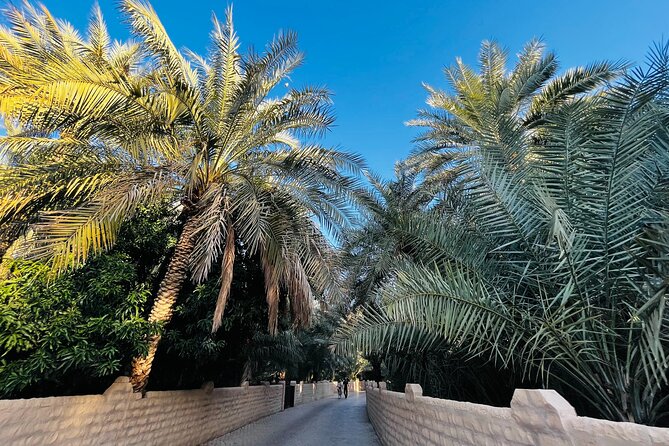 Full Day Private Al Ain City Tour With Lunch From Abu Dhabi - Pricing and Booking Information