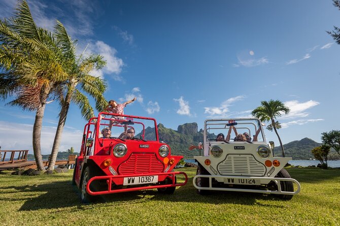 Full-Day Private Bora Bora Electric E-Moke Rental - Traveler Reviews