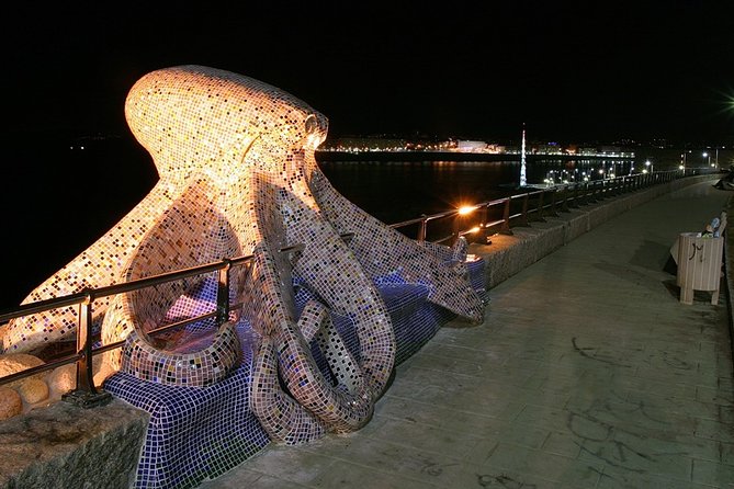 Full-Day Private Guided Tour in a Coruña From Ferrol Port - Questions and Support