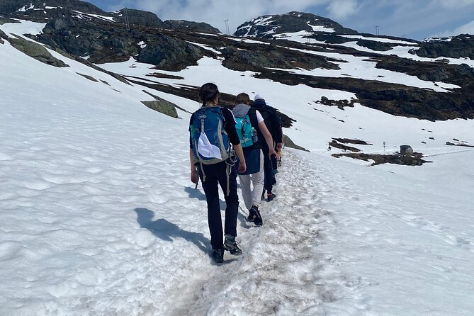 Full Day Private Hiking Adventure From Bergen to Trolltunga - Trip Highlights and Recommendations