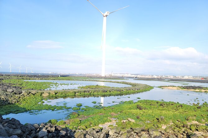 Full-Day Private Jumbo /Minivan Tour -All Areas in Jeju Island - Questions and Terms