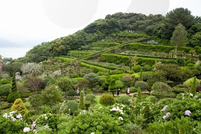 Full-Day Private Tour in Busan With Tongyoung and Geoje - Private Tour Inclusions