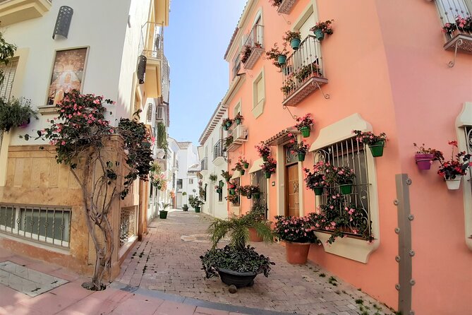 Full Day Private Tour in Gibraltar and Estepona From Marbella - Booking and Pricing Information