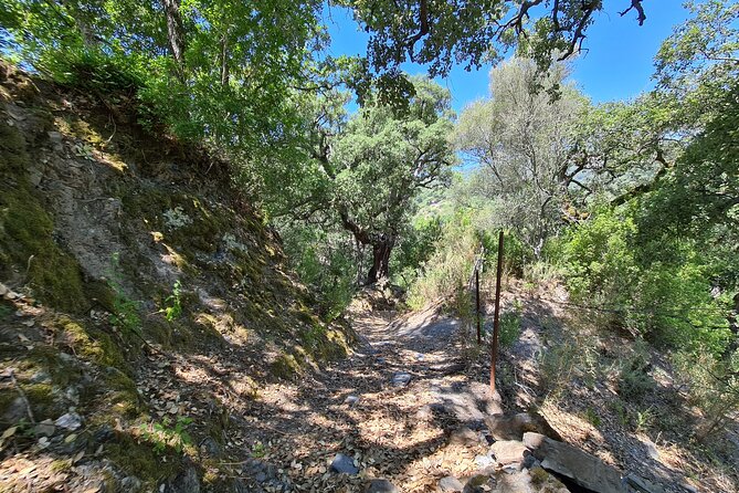 Full-Day Private Tour in Sierra Bermeja - Genalguacil - Genal River - Common Questions