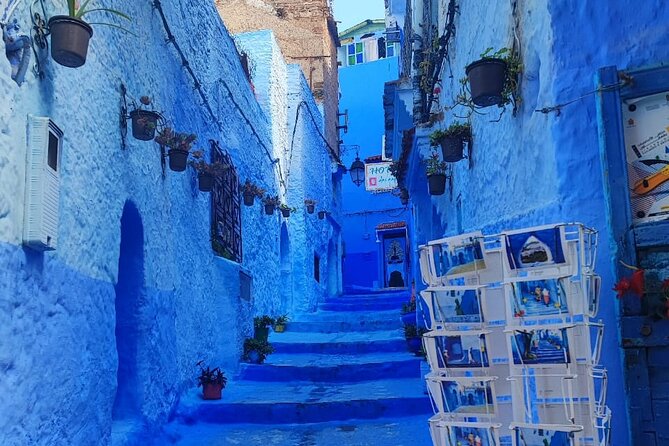 Full Day Private Tour to Blue City Chefchaouen From Tanger - The Sum Up