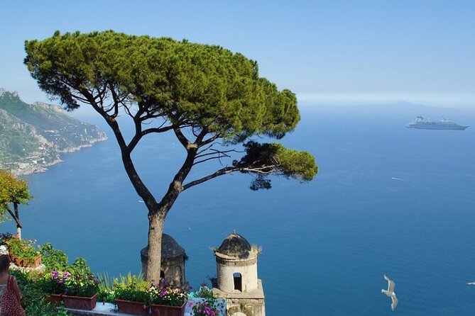 Full-Day Private VIP Boat Tour to Capri - Safety Guidelines and Requirements