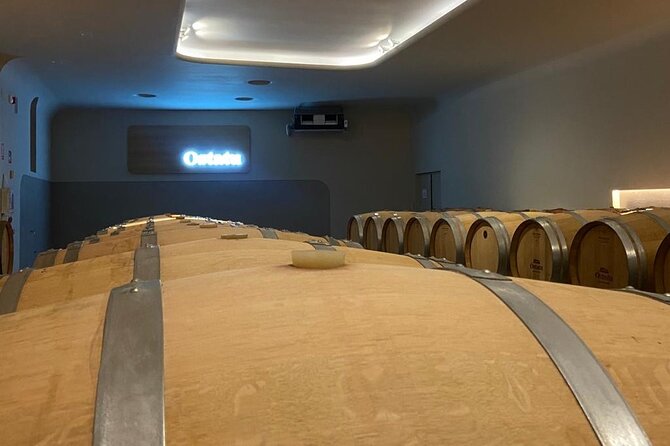 Full-Day Private Wine Tasting Tour in La Rioja With Lunch - Common Questions