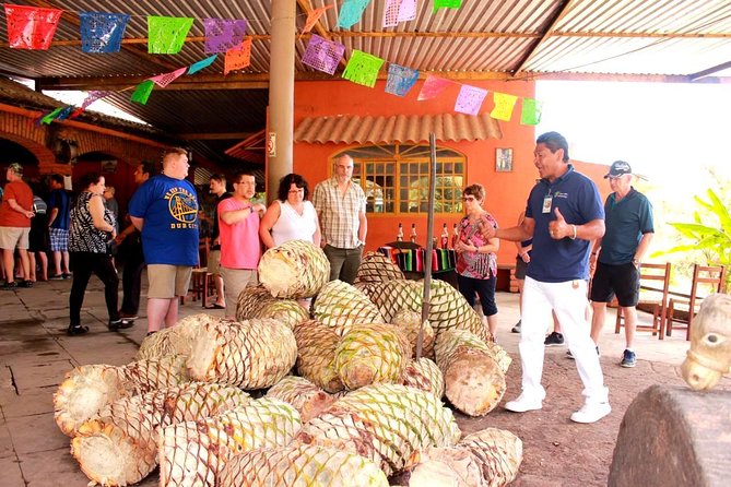 Full-Day Puerto Vallarta City Highlights Tour - Highlights and Practical Information