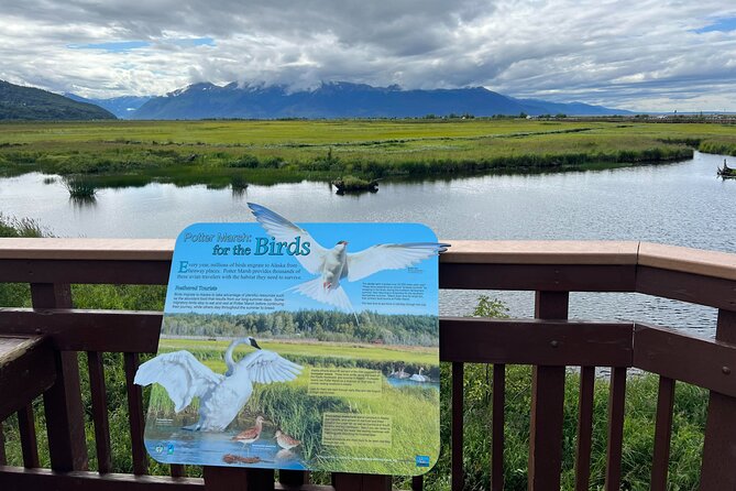 Full-Day Seward Cruise Transit Tour to Anchorage - Cancellation Policy