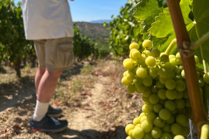 Full Day Tasting The Unknown Rioja Wine Region - Personalized Pickup and Arrangements