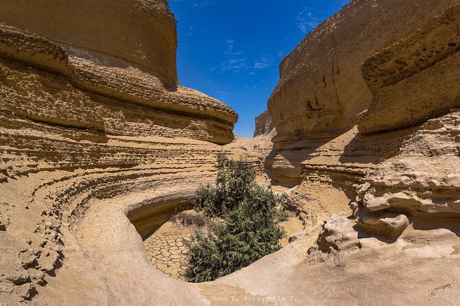 Full Day Tour Canyon of the Lost in Ica Desert - Pricing and Booking Information
