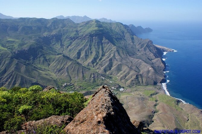 Full-Day Tour: Gran Canaria in One Day - Feedback and Suggestions on Pickup Arrangements